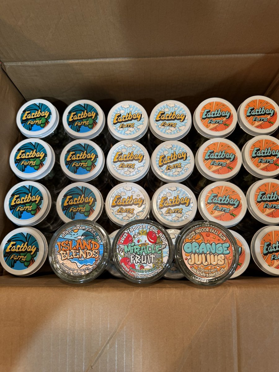 ostfdc's tweet image. @EastBayFarms Drop is Live 🚨🔔‼️

Island Blends 
(🍌OG x Cherry Pie x Tangie x Guava Cooler)

Miracle Fruit 
(Super Lemon Haze x Mimosa v6)

Orange Julius
(Zkittlez x Mimosa v6)

Organic Living Soil Grown