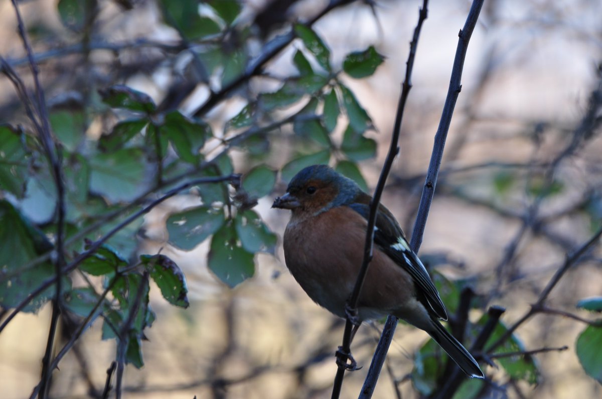 StuartBurt8's tweet image. 