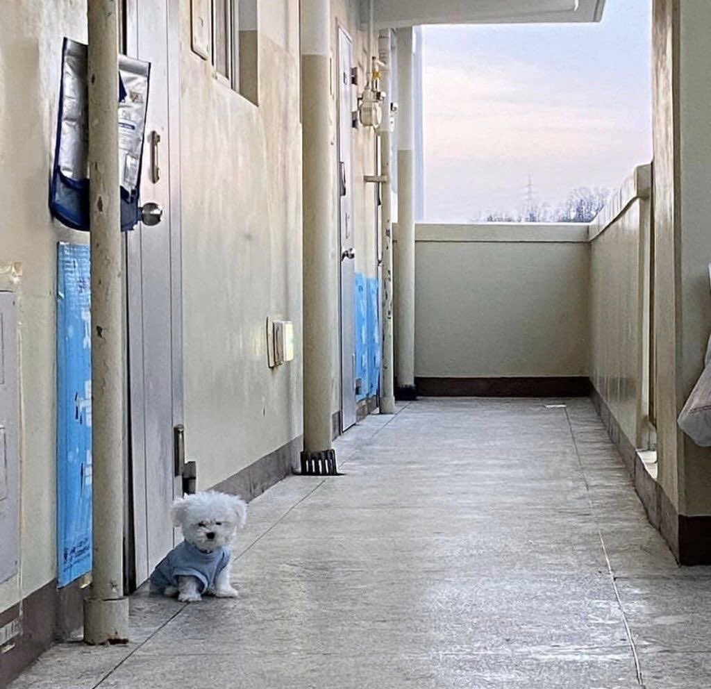 다소 이런 느낌