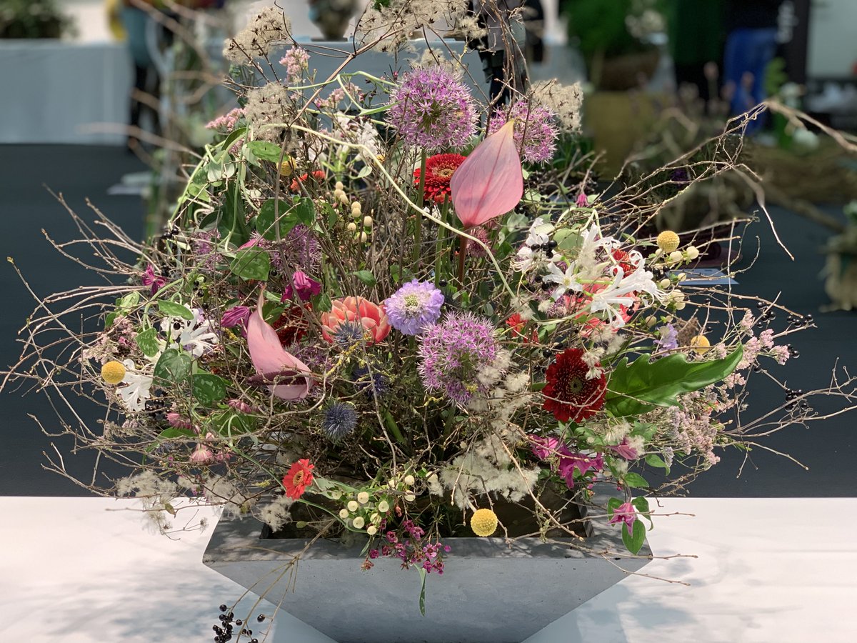 IPM Essen 2019. Astra Fund – лучший поставщик цветов и растений из Голландии.