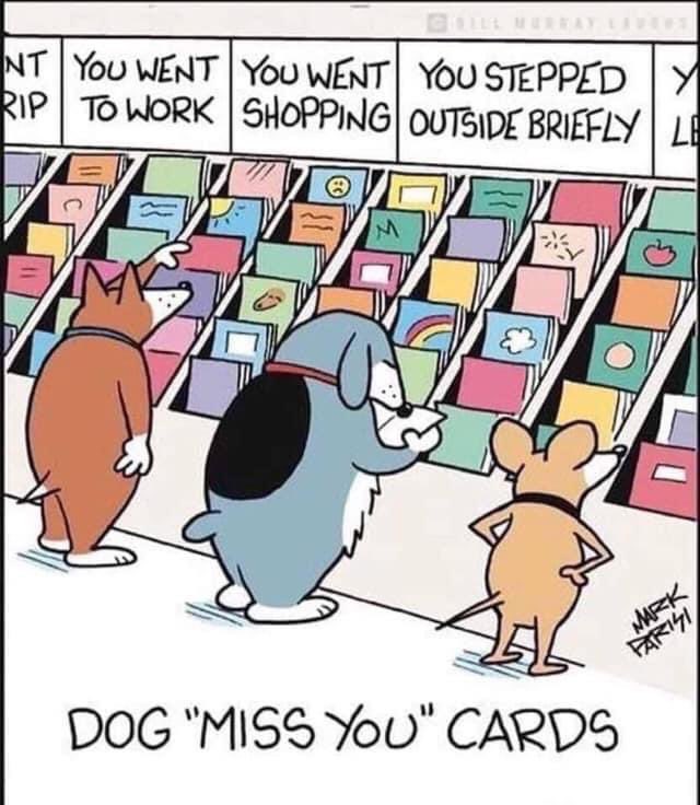 เขาถึงได้บอกว่า 1 นาทีของหมา กับ 1 นาทีของคนไม่เท่ากัน เราออกจากบ้านไปแค่แป๊บเดียว กลับเข้ามาหมาก็ตื่นเต้นดีใจเหมือนเราหายไปเป็นปี ❤️