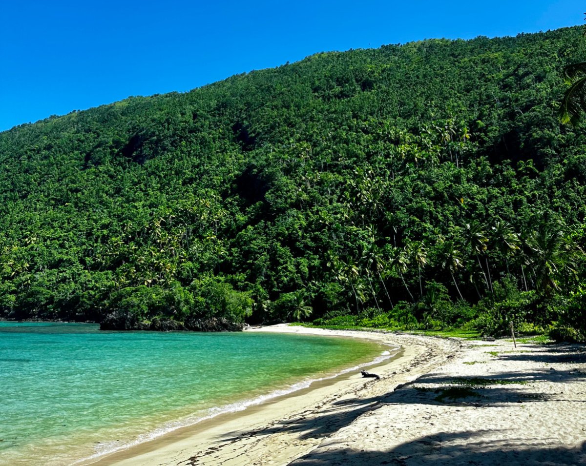 Solana Sensei tweet media