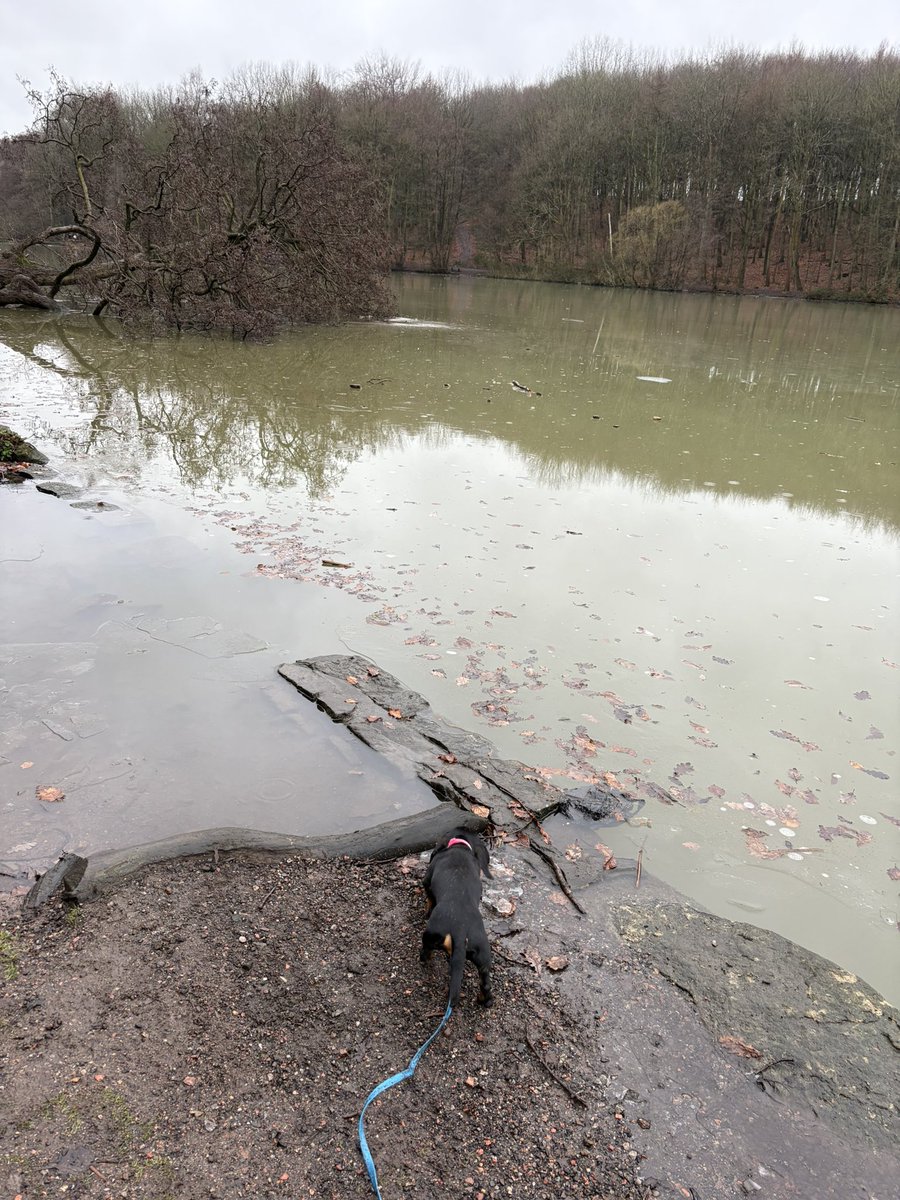 TheTattooedHeadteacher Deputy CEO 🏳️🌈✊🏾she/her tweet media