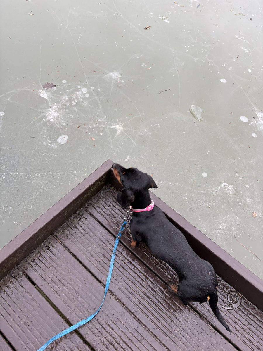 TheTattooedHeadteacher Deputy CEO 🏳️🌈✊🏾she/her tweet media