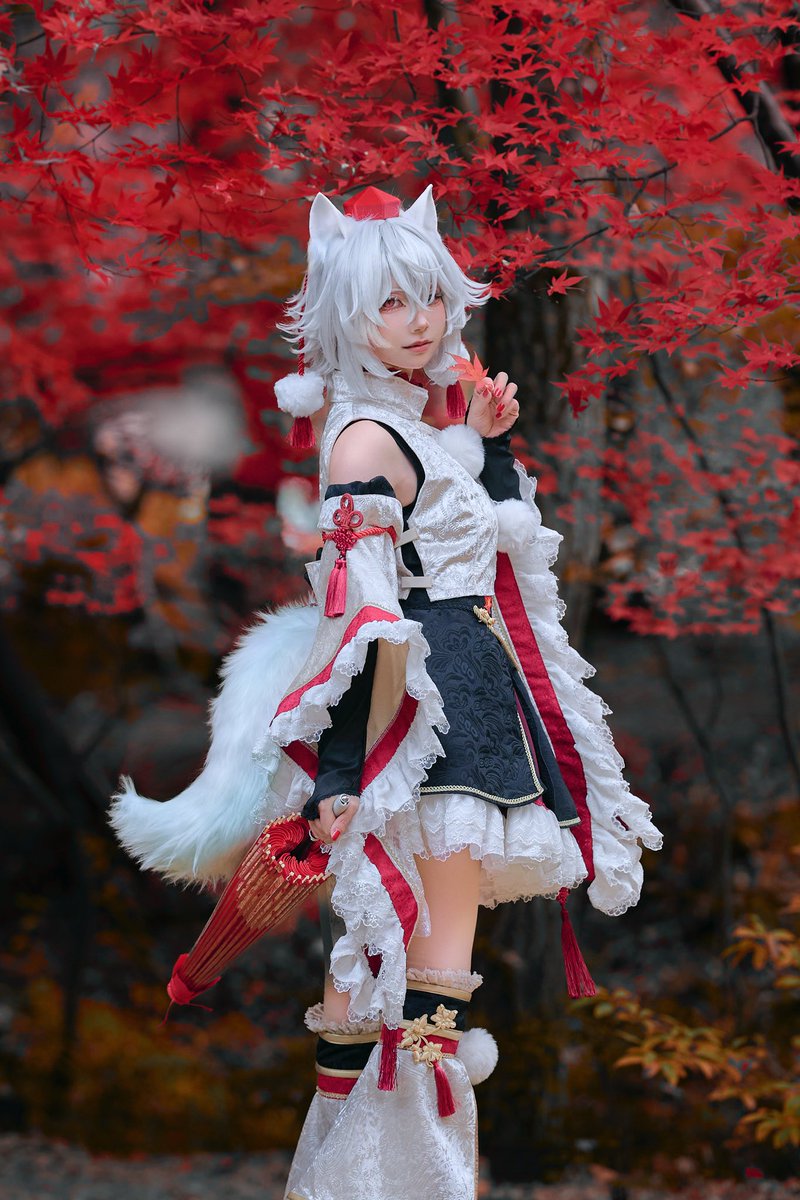 #1月10日は椛の日
わんわんおで椛の日？！大遅刻だ…！！