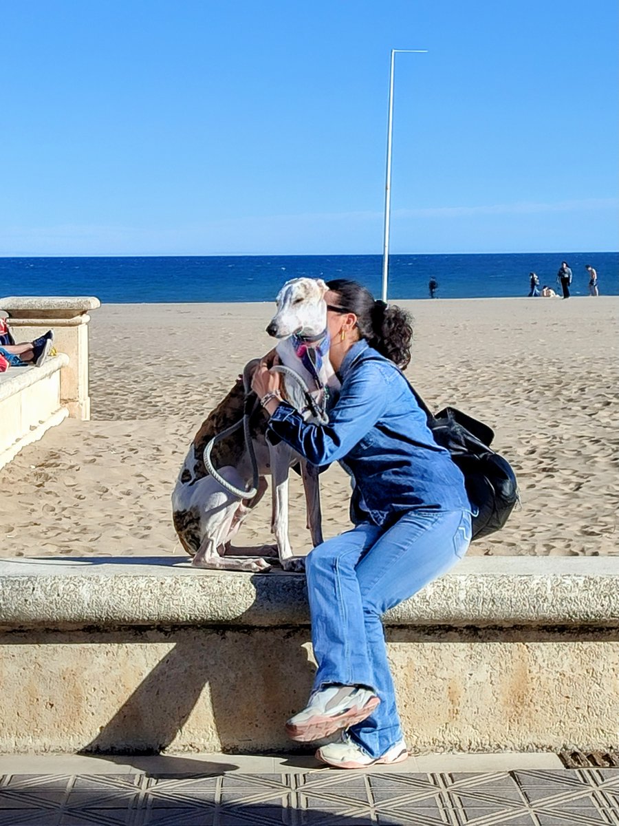 Cynthia Collantes tweet media