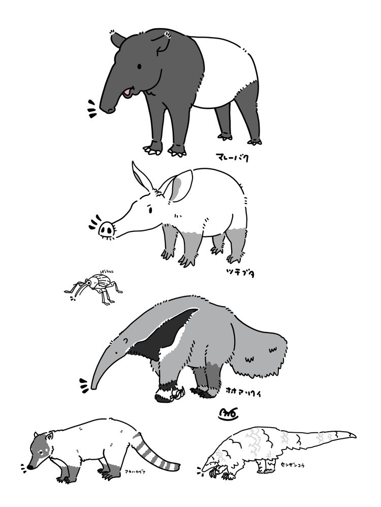 このイラストからポーチに繋がるとは思わなかった！ビックリ！

#ゾウムシ #マレーバク #ツチブタ #オオアリクイ #アカハナグマ #センザンコウ