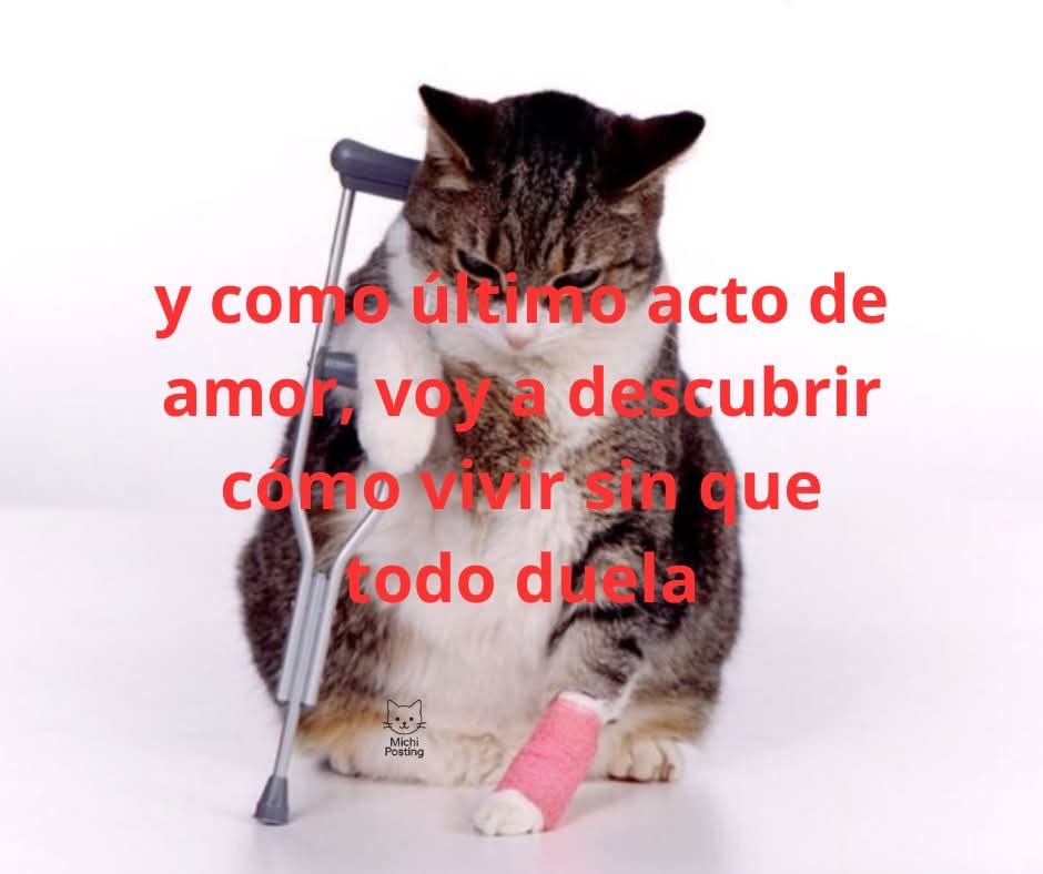 ojoscol0rsol's tweet photo. https://t.co/4OGHX7CA7c