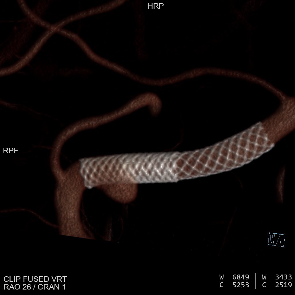 Icono Guide tweet media