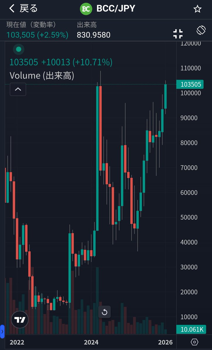 仮想 通貨 bcc bch 違い (95) 사진