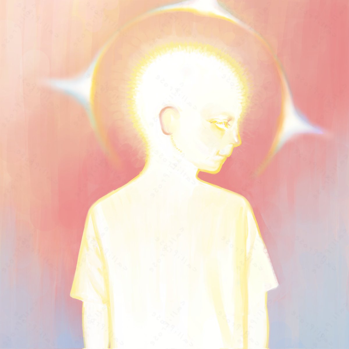 Calliprose tweet media