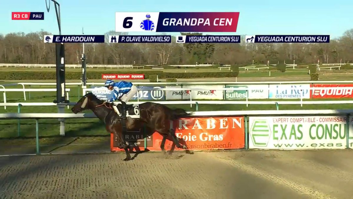 Yeguada Centurión FAN tweet media