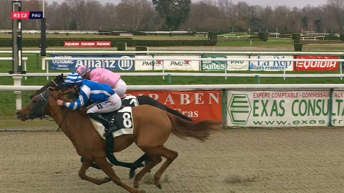 Yeguada Centurión FAN tweet media