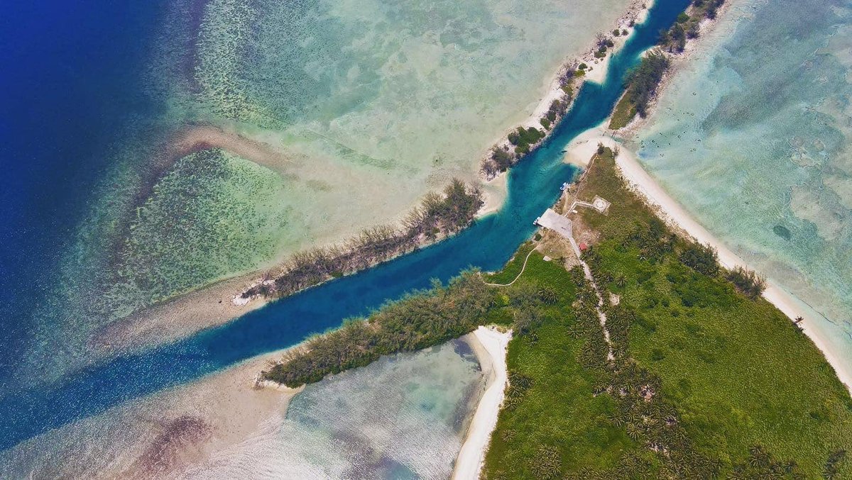 SECTUR_mx's tweet image. Explora uno de los tesoros naturales del norte de #Veracruz. 🌿🐠

En Tuxpan, la vida se abre paso entre esteros, manglares y arrecifes. Sus manglares son únicos: aquí conviven los cuatro tipos existentes, rojo, negro, botoncillo y blanco, una barrera natural poco común en el…