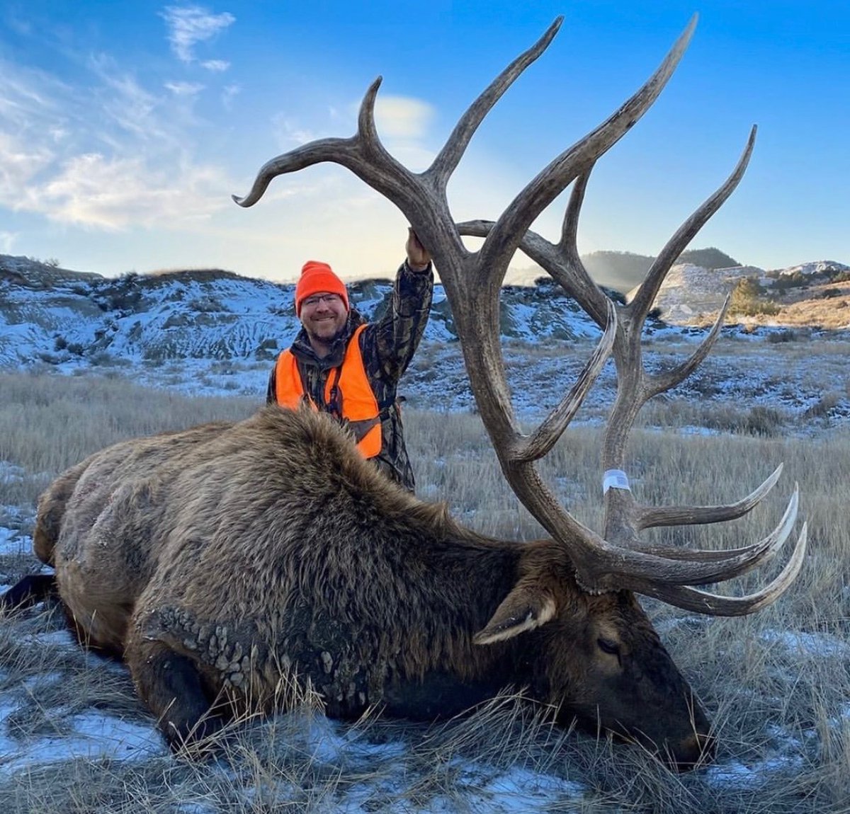 eastmans's tweet image. Good heavens!