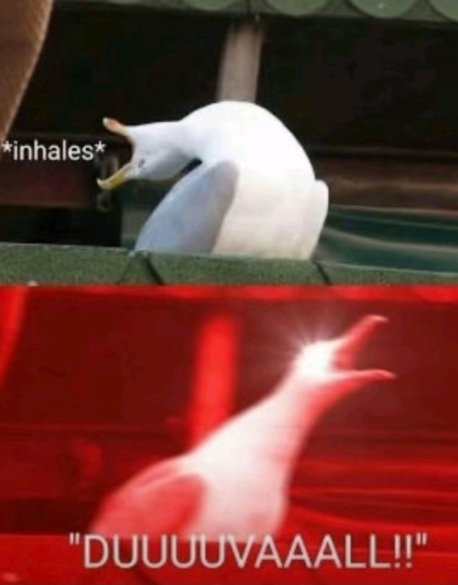 BsoaJags tweet media