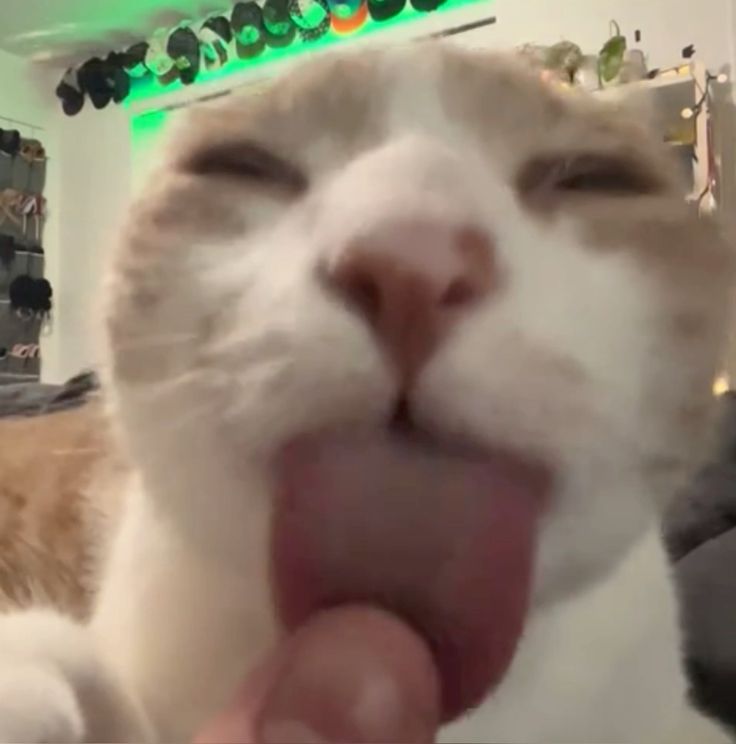 Kadee ★ tweet media