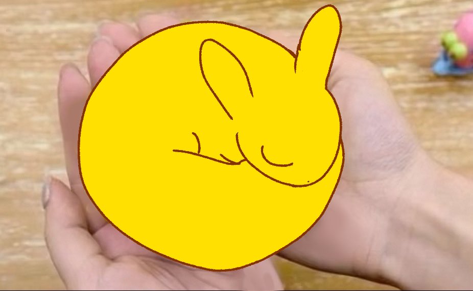 Baby Monk so tiny. Fig in Two Hand