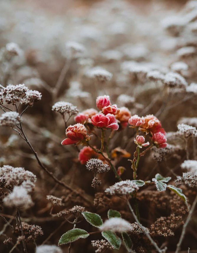Um glücklich zu sein, 
darf man das Glück des 
anderen nicht aus den
Augen verlieren.

Gaston Bachelard 
La Psychanalyse du feu