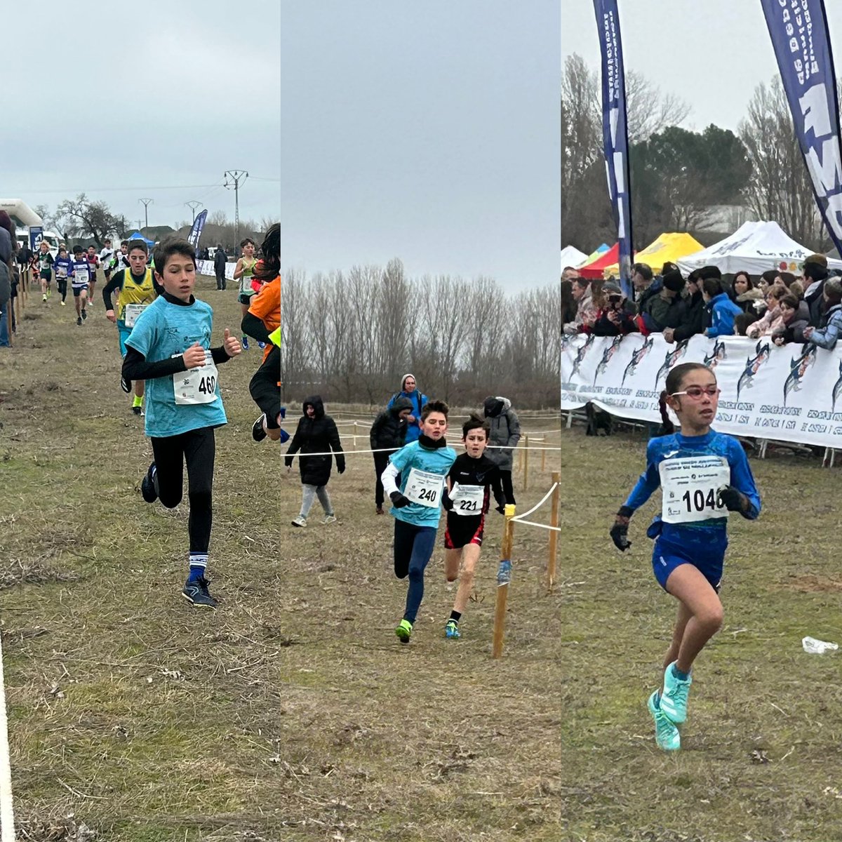 CAMPEONATO AUTONÓMICO DE CAMPO A TRAVÉS. Valladolid 11 de enero
7-Lucas Leguey Jiménez SUB12
14-Rocio Martínez Muñoz SUB12
51-Adrián Galindos García SUB14
<a href="/CRSASALAMANCA/">Caja Rural de Salamanca</a> <a href="/aeAdaja/">Ae Adaja</a> #librerianotasavila