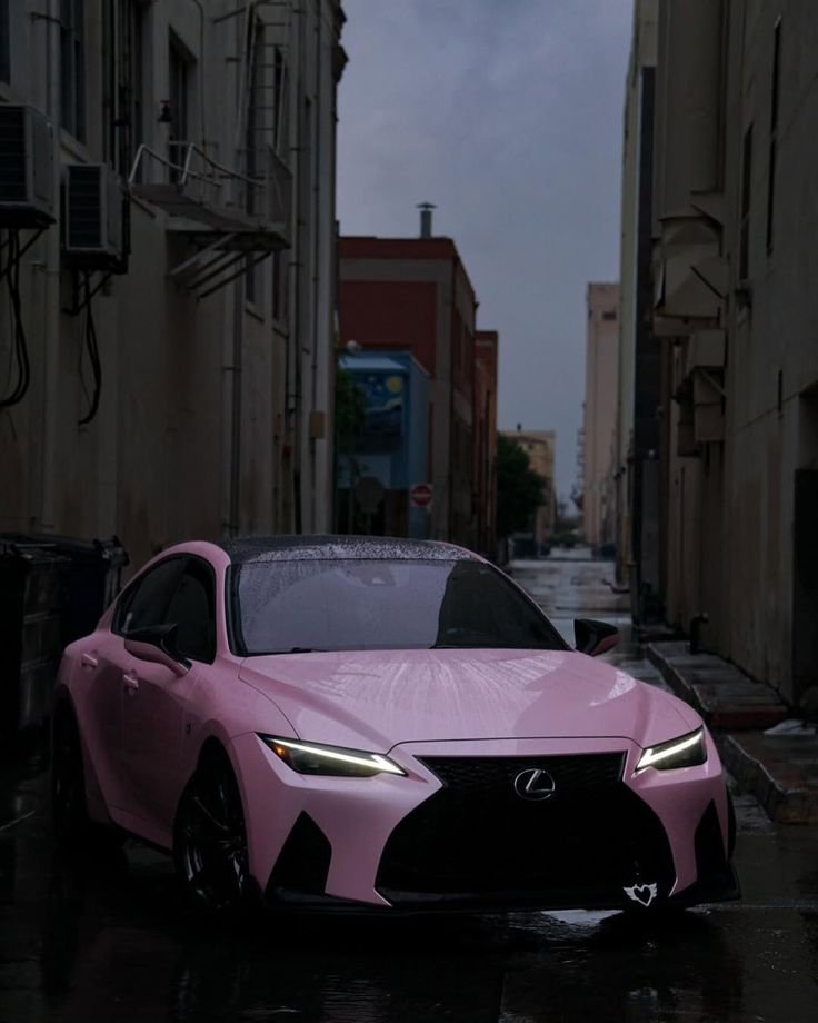 There is something strangely peaceful about a pink car in a dark alley. It’s like the calm before the storm. 🌸