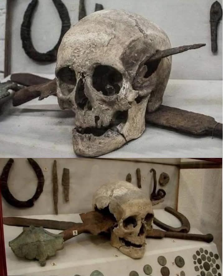 Archaeo - Histories tweet media