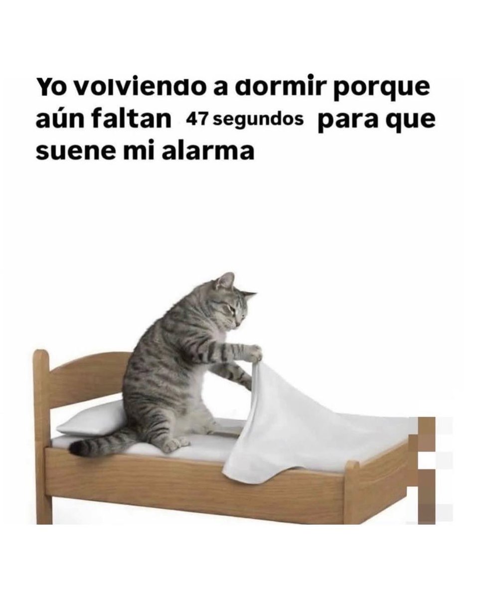 yisucrist's tweet image. soy ese