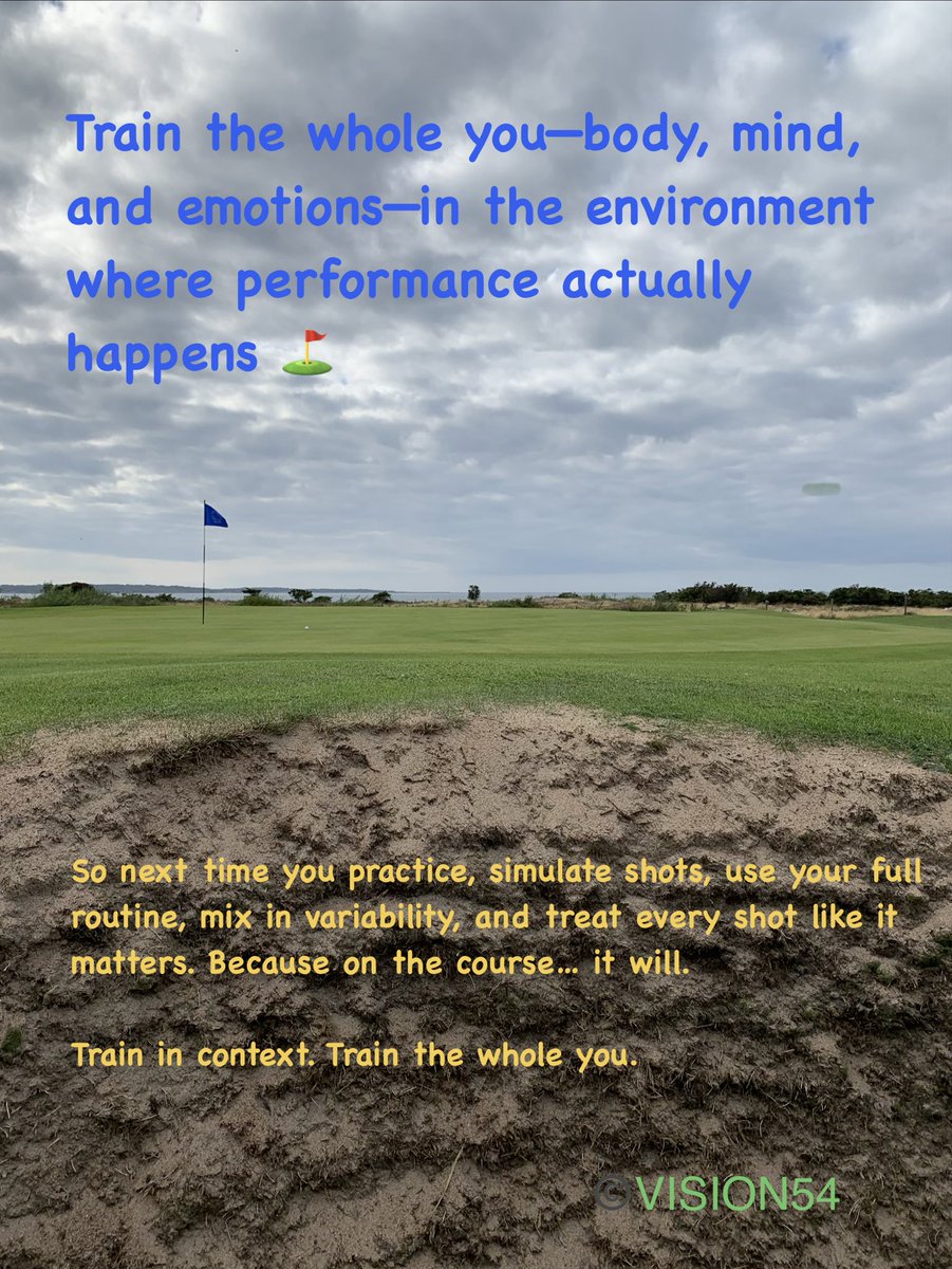 VISION54 tweet media