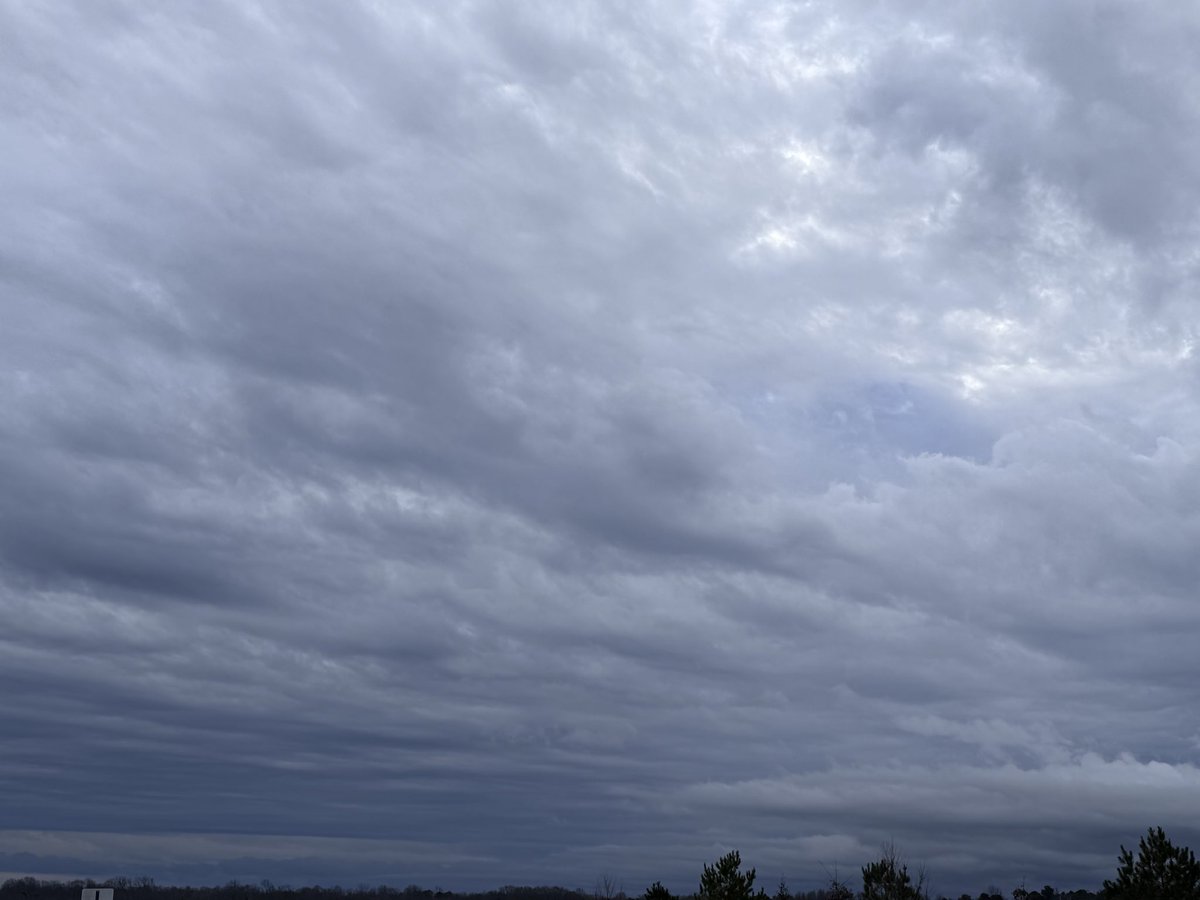 TheOtherLori's tweet image. 6 miles under ominous skies. After yesterday’s deluge, the sky still looked angry. Found some motivation along the way, just go! #runchat #lookslikerain #nosuntochase
