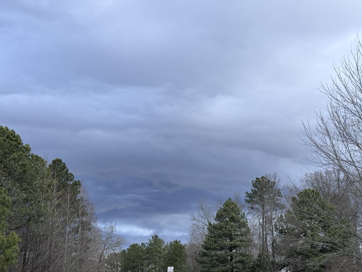 TheOtherLori's tweet image. 6 miles under ominous skies. After yesterday’s deluge, the sky still looked angry. Found some motivation along the way, just go! #runchat #lookslikerain #nosuntochase