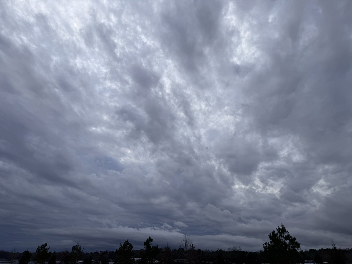 TheOtherLori's tweet image. 6 miles under ominous skies. After yesterday’s deluge, the sky still looked angry. Found some motivation along the way, just go! #runchat #lookslikerain #nosuntochase