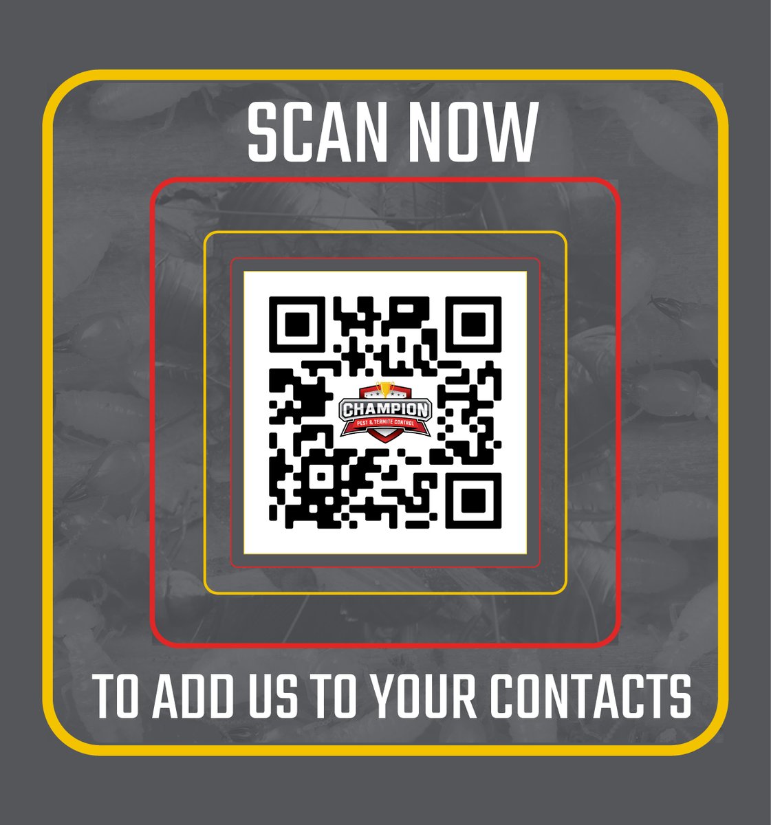 Champion Pest & Termite Control tweet media