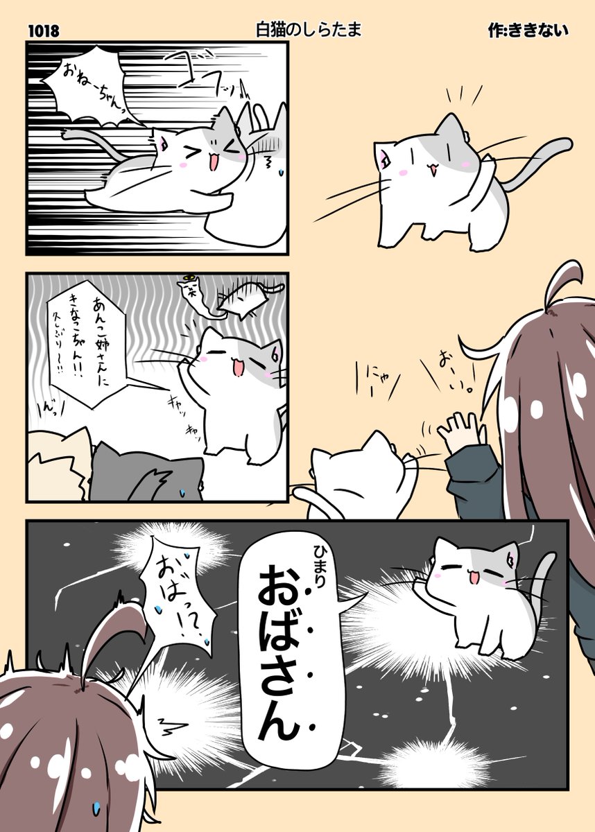 白猫屋ページ 🐈今日も一日お疲れさまにゃ～🐈 タイトル 〈私はまだおばさんじゃない