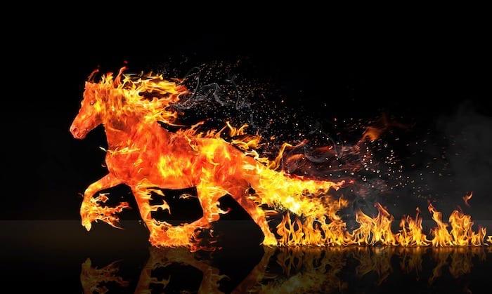 winner_on_x's tweet photo. @FamobioM @cryptorover The market always ignores opportunities before it chases them.
$Firehorse is still in that quiet zone.
Smart entries usually happen here.
Official X: @firehorseonline
#Firehorse #SolGem #Crypto https://t.co/PyyV8eggWq