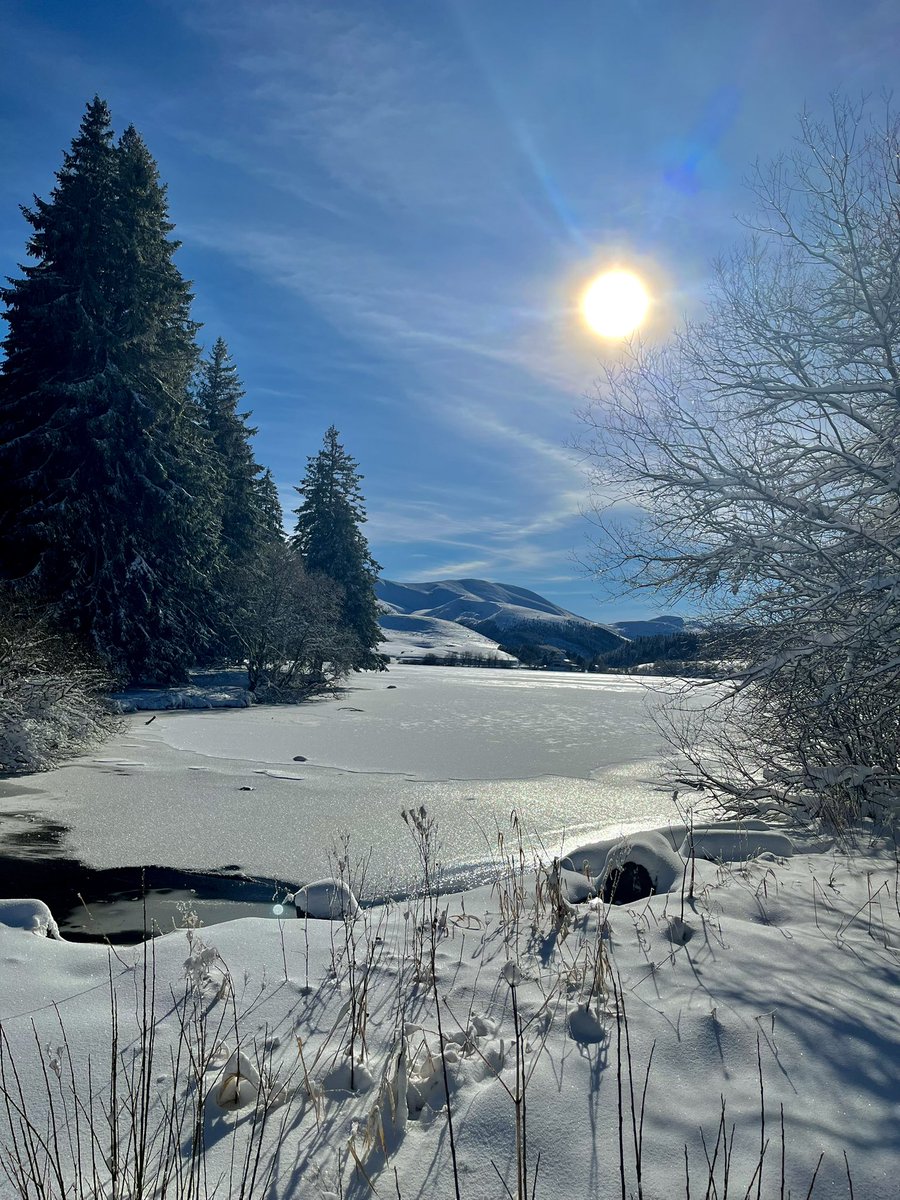 Frederic Pilaud tweet media