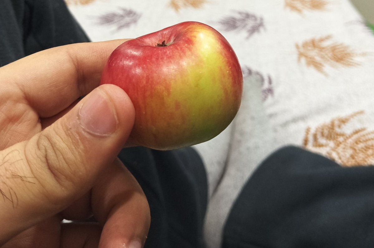 uncoolrazdan's tweet image. #Apple #NotClickedByApple