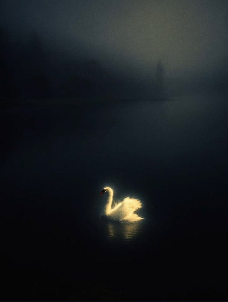 ✮⋆˙ (@dmugg7) on Twitter photo 