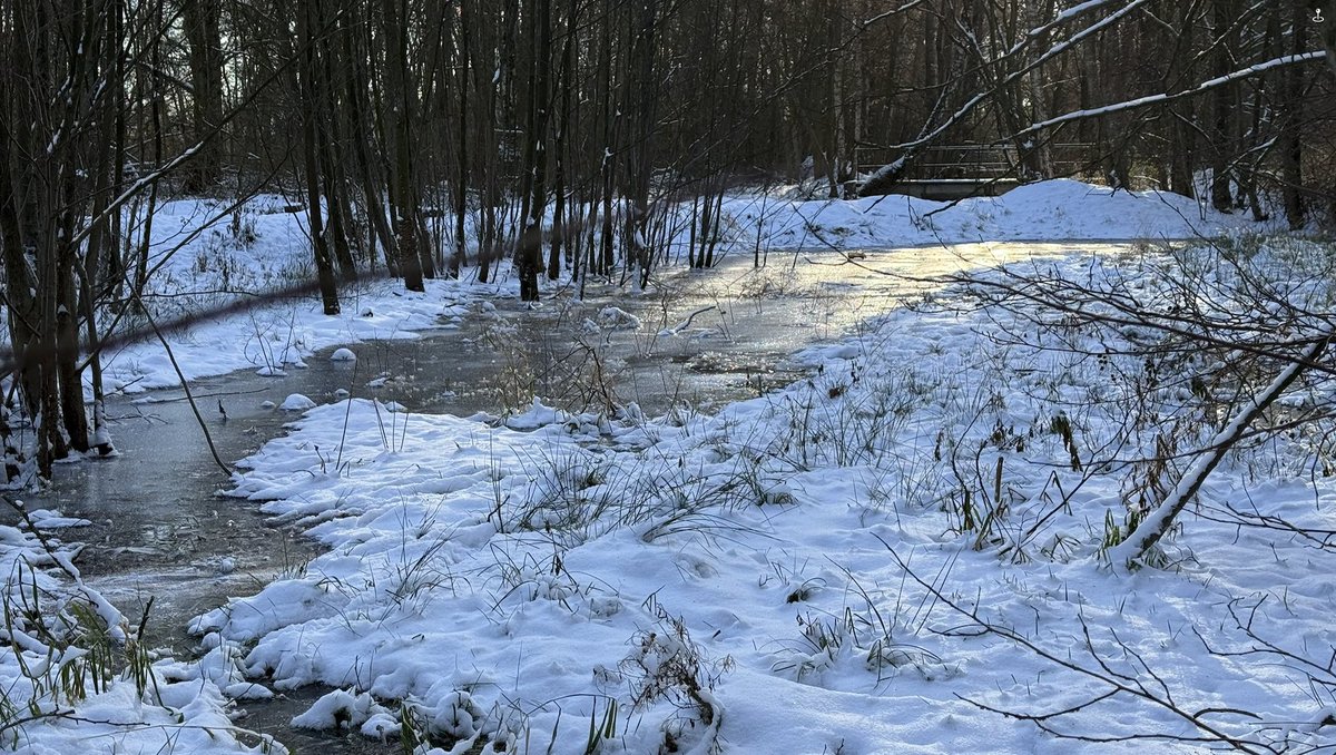 Due to a difficult health situation in my close family, I haven’t posted anything in quite some time — there just hasn’t been much time. Still, winter has its beautiful moments ❄️