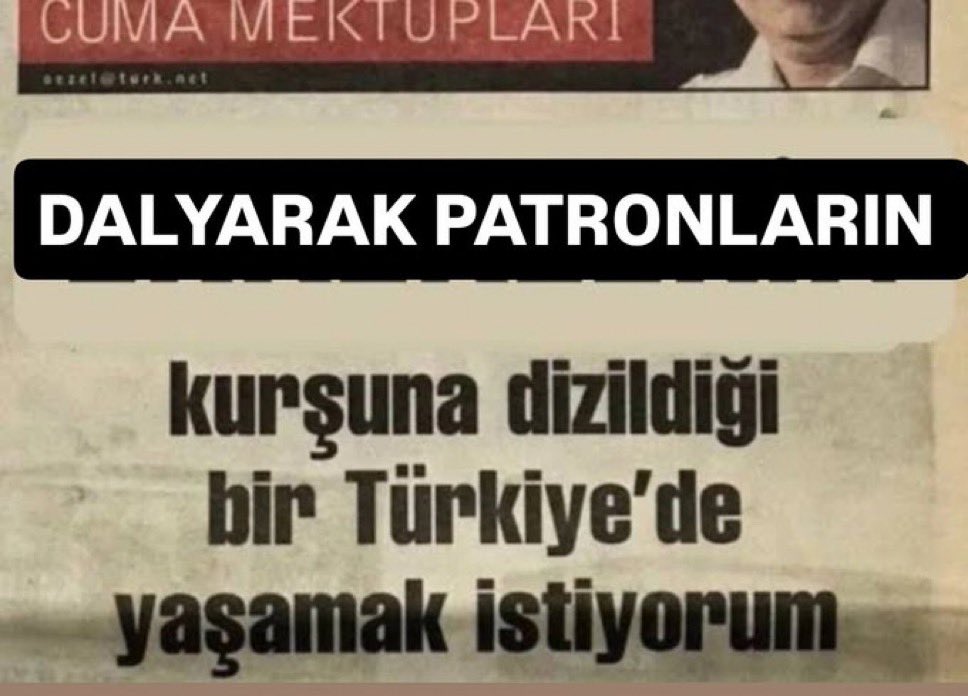 olga tweet media