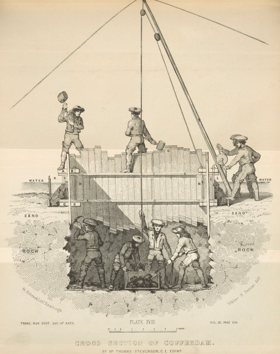 Dr David Mitchell tweet media