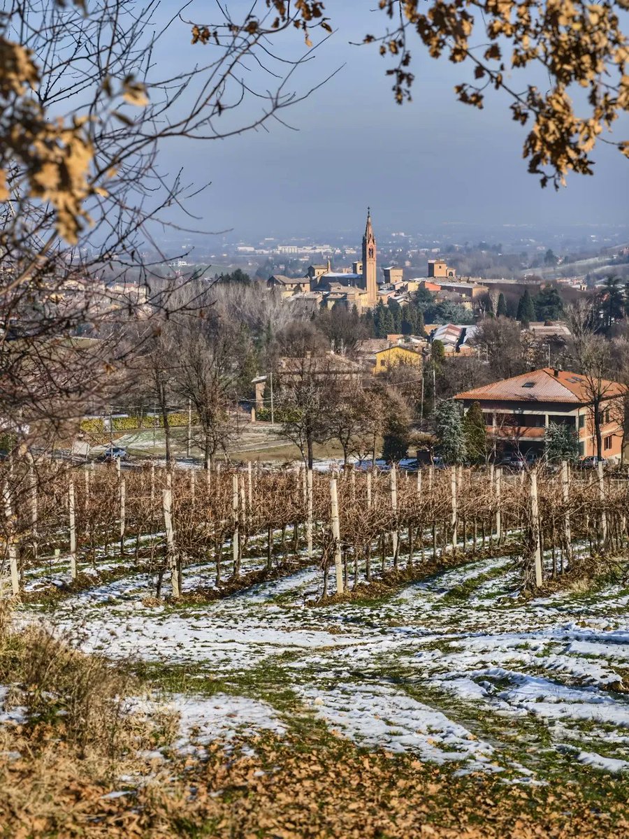 Castelvetro di Modena, cartolina d’inverno ✨

Ph pulga.stefano | Via #modenaedintorni