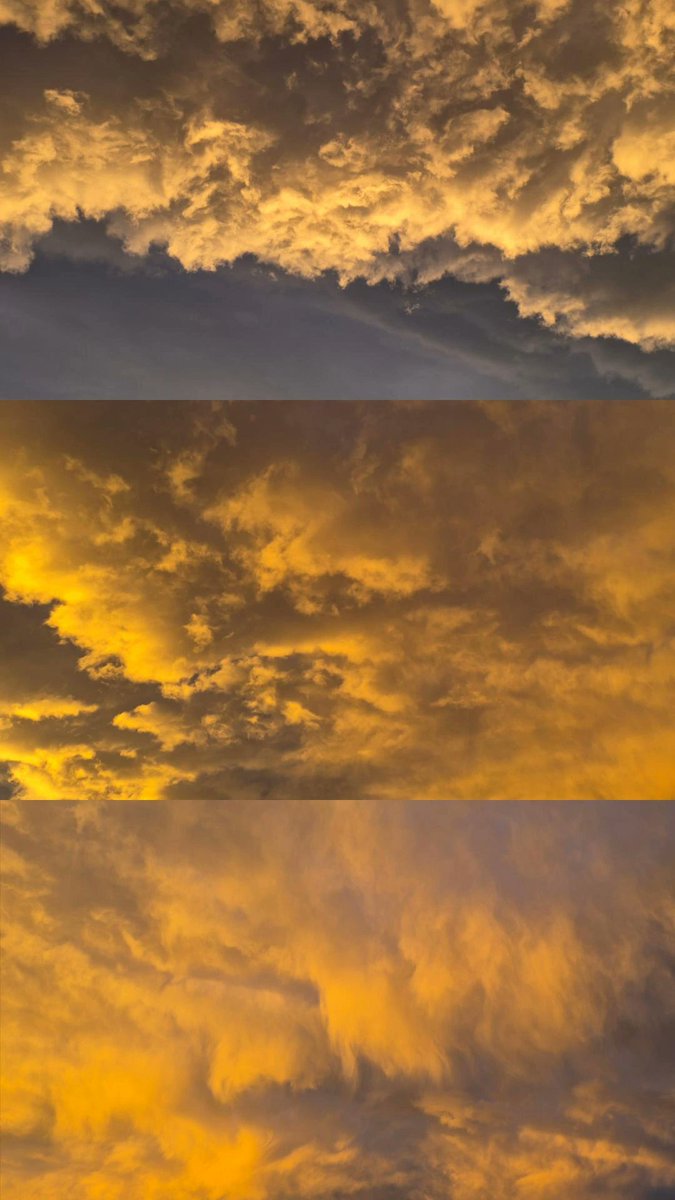 Asrın Nur Döner tweet media