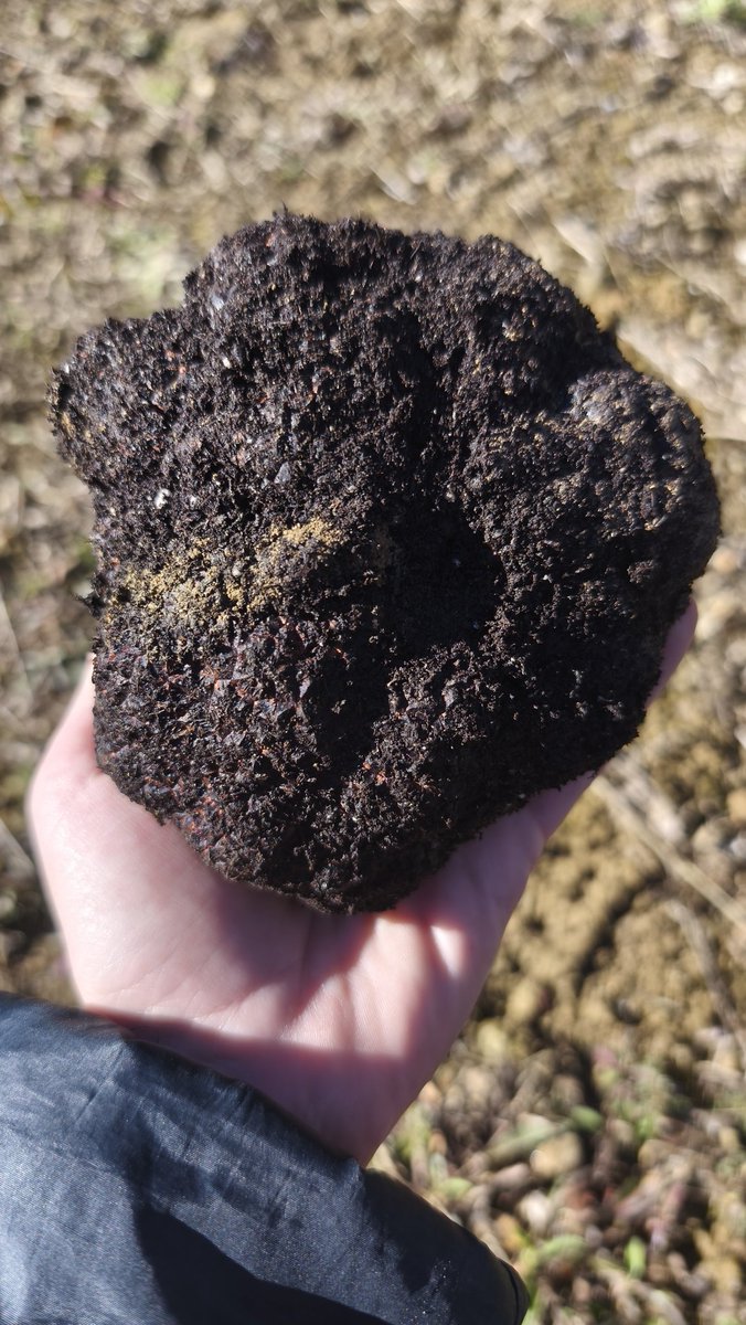 laCATxonda tweet media