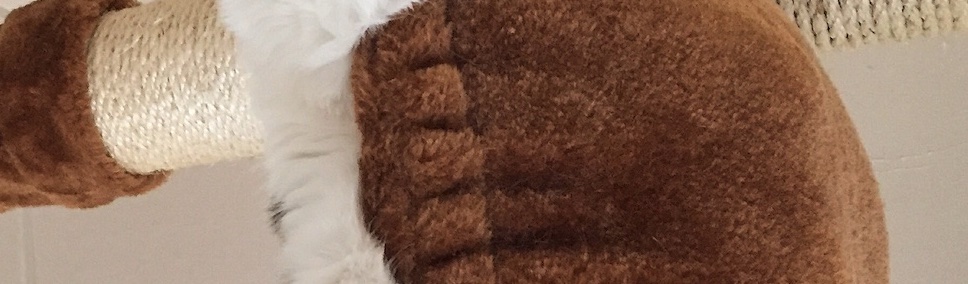 Ԁοɾα tweet media