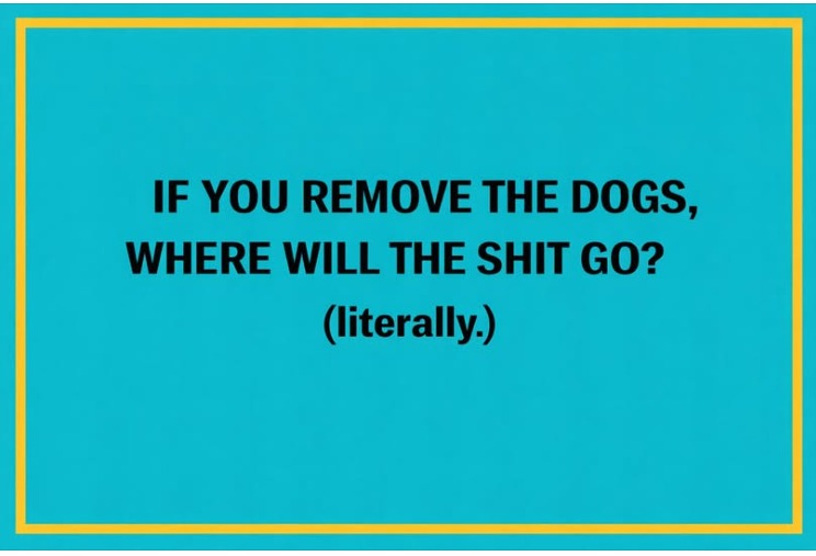 Our colleagues from Greece share their position on the recent developments on Street Dogs in India.

#streetdogs #streetdogsofindia #saveindiandogs #savedesidog