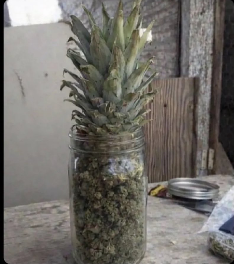 canabisbrasil's tweet photo. Ja se passaram 5 dias e ninguem suspeita do meu abacaxi 🍍 😂 https://t.co/K4mD0dyU6D
