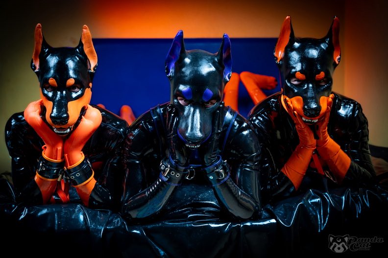 Dokuta_Woof's tweet image. Triple trouble.
Doberman gang featuring @SgtWolfchAD  in the middle and @PupDami on the right.

Pictures by @DuskPanda 
#rubber #latex #rubberfur #latexfur