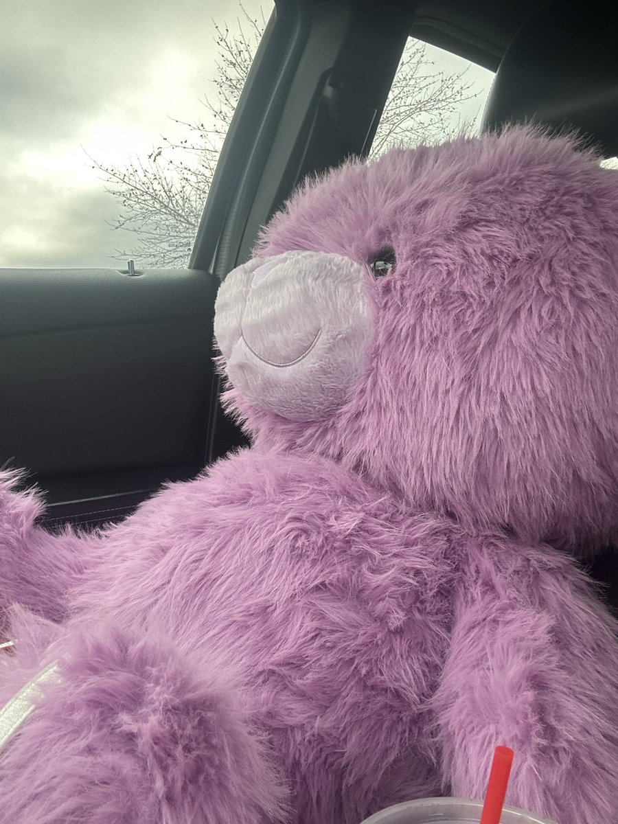 ahui's tweet image. passenger princess