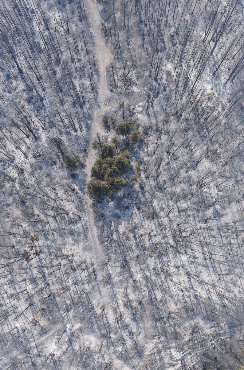 Los que permitieron esto deben ser juzgados por traición a la patria, empezando por el Presidente de la Nación