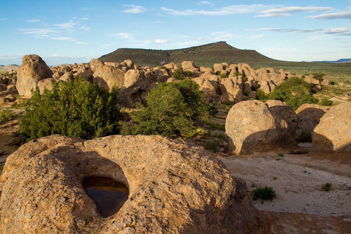 Residential Landscaping Company in Puget Sound - Full Design \u0026 Build, image size:1200x800